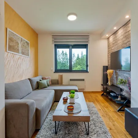 公寓 65 Titova Zlatibor