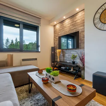 65 Titova Zlatibor 公寓 *