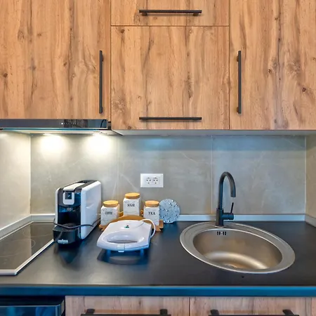 公寓 65 Titova Zlatibor *