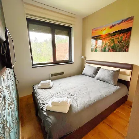 65 Titova Zlatibor 公寓 *