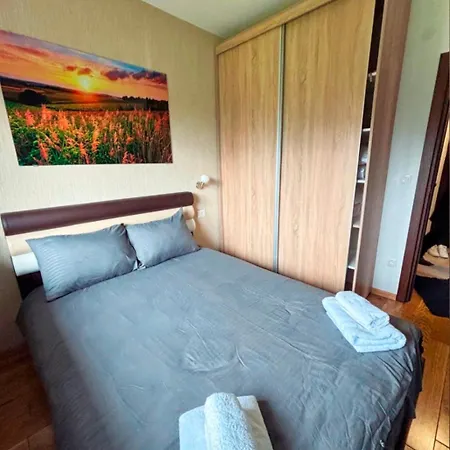 公寓 65 Titova Zlatibor Palisat