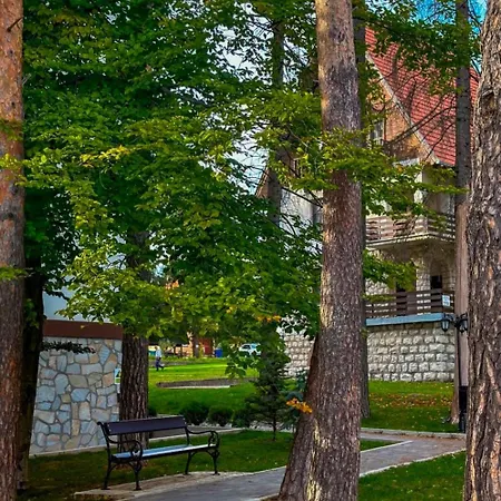 65 Titova Zlatibor Palisat