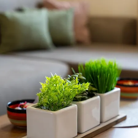 65 Titova Zlatibor *