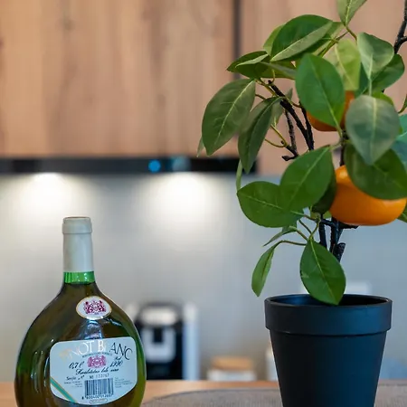 65 Titova Zlatibor 公寓