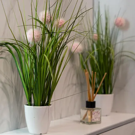 65 Titova Zlatibor *